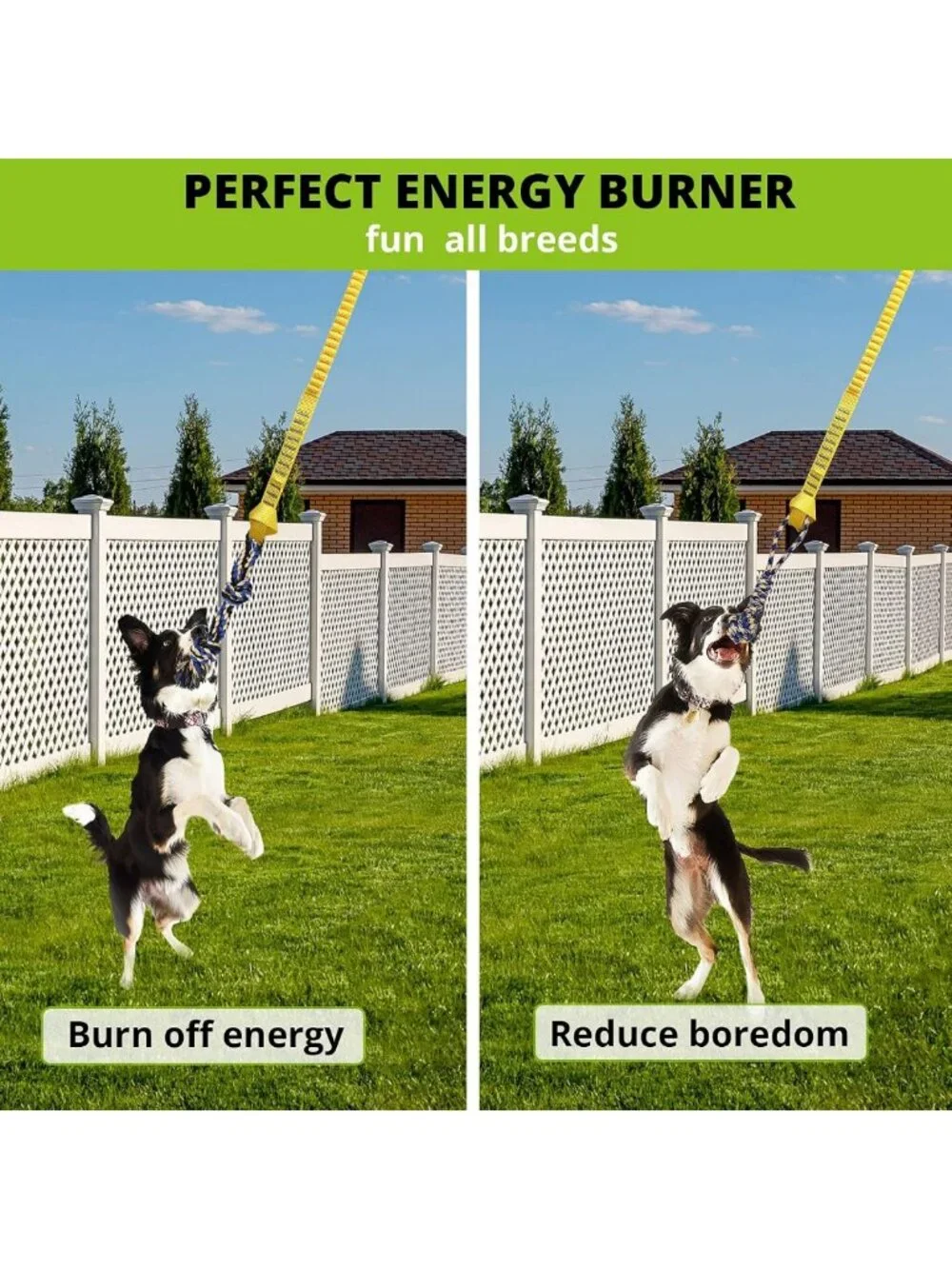 Interactive Bungee Tug Toy for Dogs - Durable Tug-of-War & Chew Rope Set